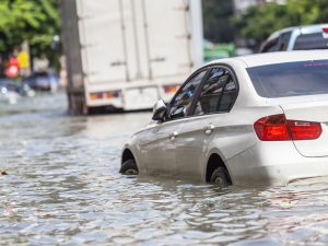 Leia mais sobre o artigo Cidades devem planejar para enfrentar as águas