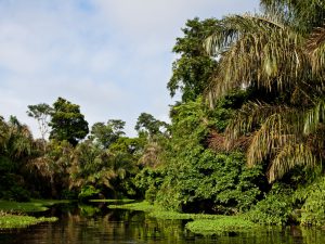 Leia mais sobre o artigo SP pode destinar parte da tarifa para proteção aos mananciais