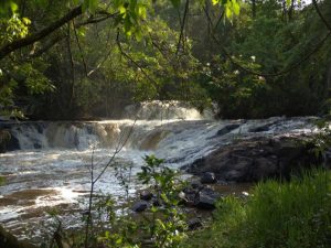 Leia mais sobre o artigo Turismo vai melhor com saneamento